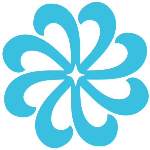 logo placcor png icone